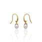 Dainty Drop Earrings